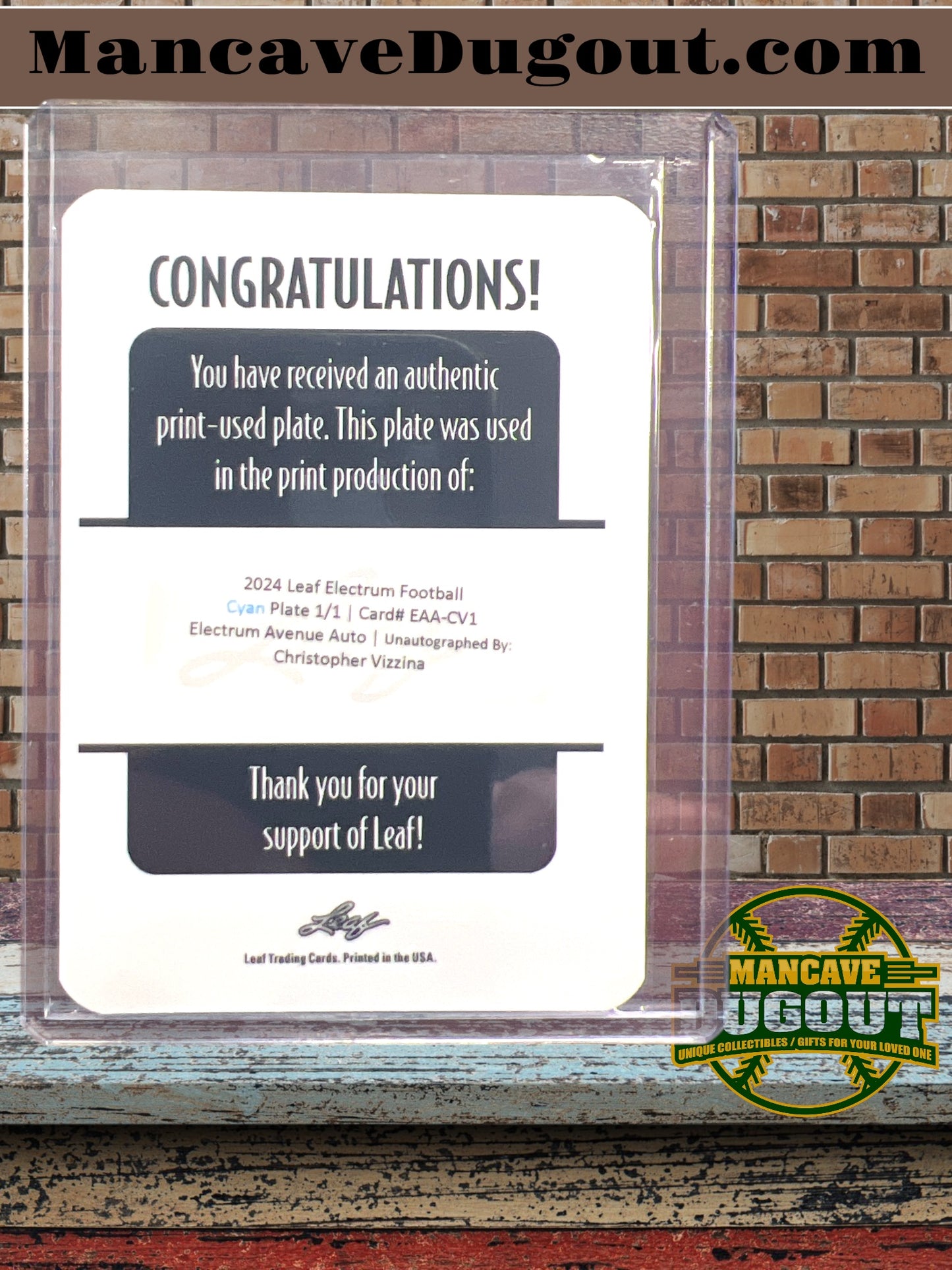 2024 Leaf Metal Collective Christopher Vizzina For #EAA-CV1 Printing Plate #1/1
