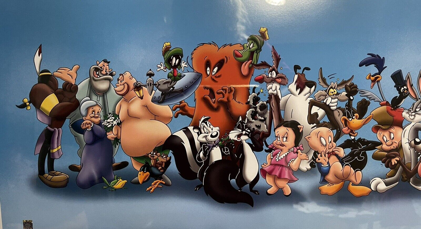 Looney Lineup with COA