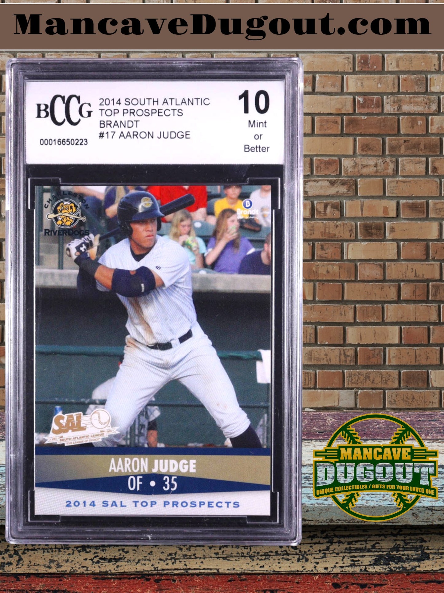 Aaron Judge 2014 South Atlantic Top Prospects Brandt #17 Rookie Card – BCCG 10 GM