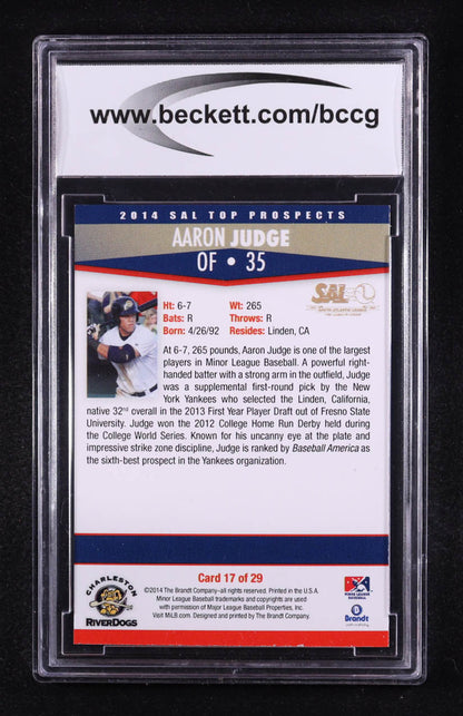 Aaron Judge 2014 South Atlantic Top Prospects Brandt #17 Rookie Card – BCCG 10 GM