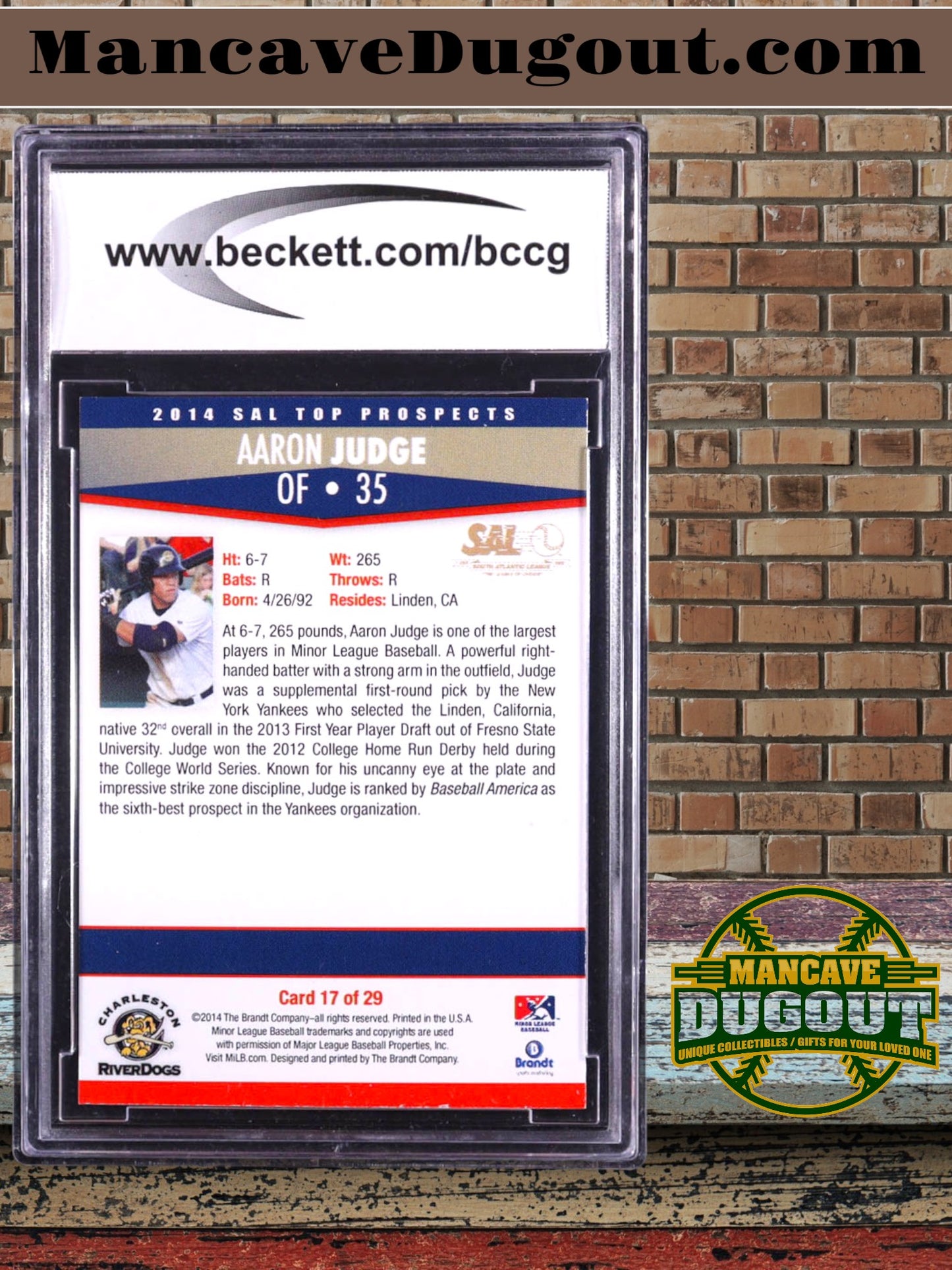 Aaron Judge 2014 South Atlantic Top Prospects Brandt #17 Rookie Card – BCCG 10 GM