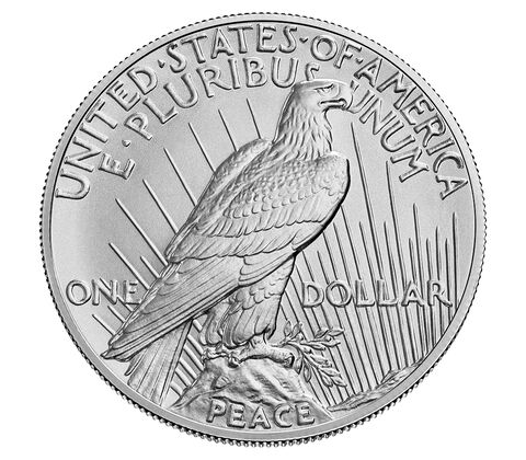 2023 Uncirculated Peace Silver Dollar