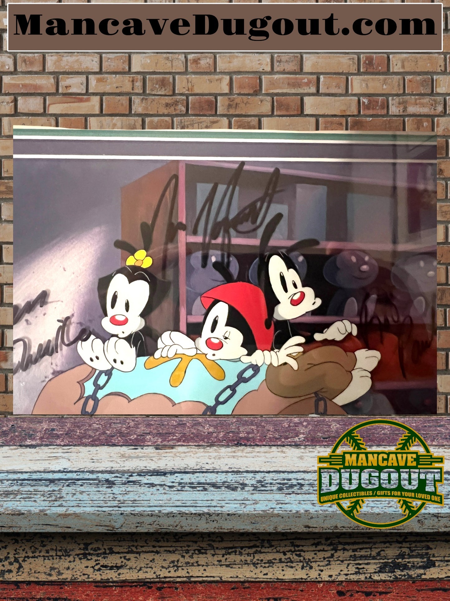Animaniacs-Orig. Animation Cel-Yakko, Wakko, Dot-Toy Shop Terror-Signed-RARE